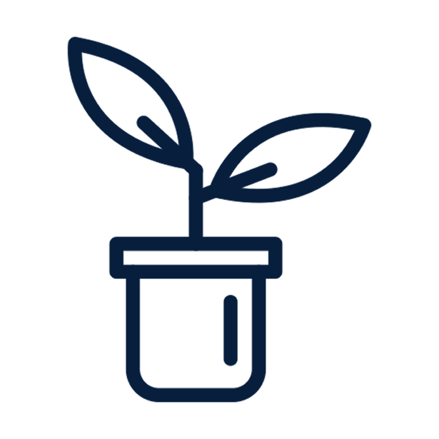 The Beginning icon